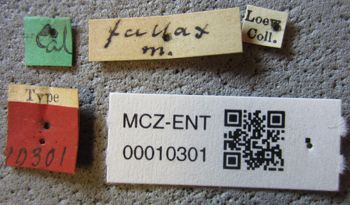 Media type: image;   Entomology 10301 Aspect: labels